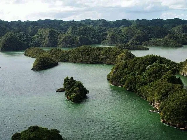 Aerial view of lush green islands and waterways in Los Haitises National Park.
