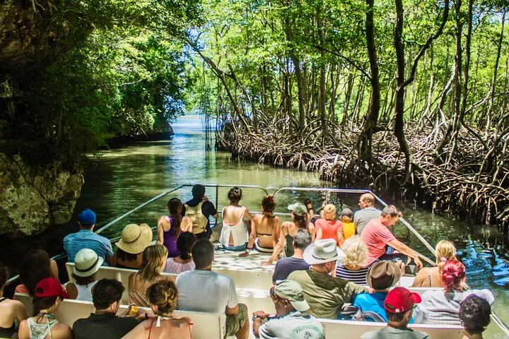 Eine Gruppe von Touristen auf einem Boot, die einen schmalen Kanal erkundet, der von Mangrovenwurzeln umgeben ist.