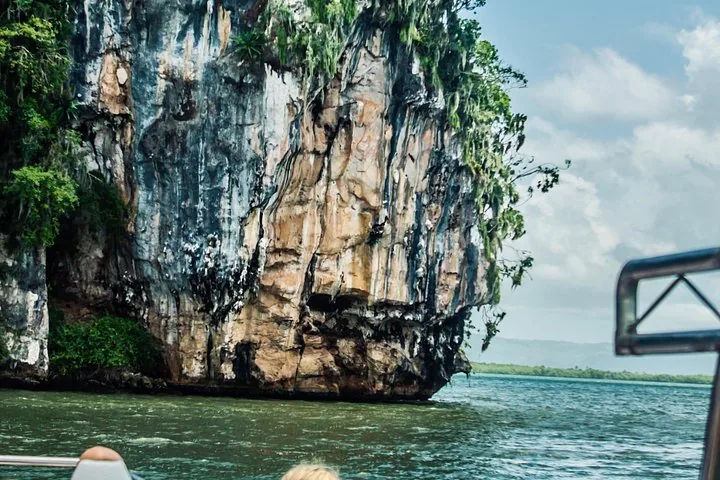 A massive rocky cliff face with vegetation on top, viewed from a boat.